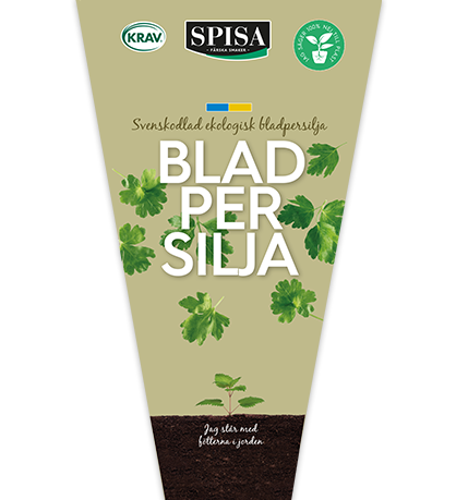bladpersilja_418x459