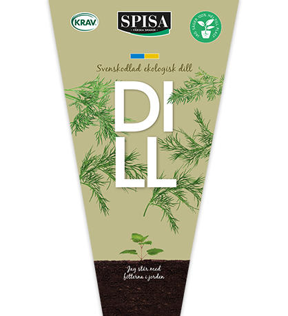dill_418x459