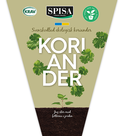 koriander_418x459