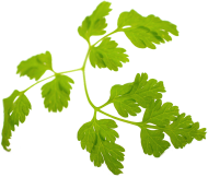 korvel