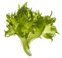 krispsallat