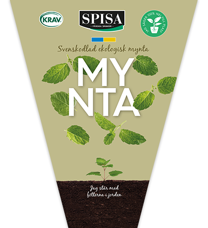 mynta_418x459